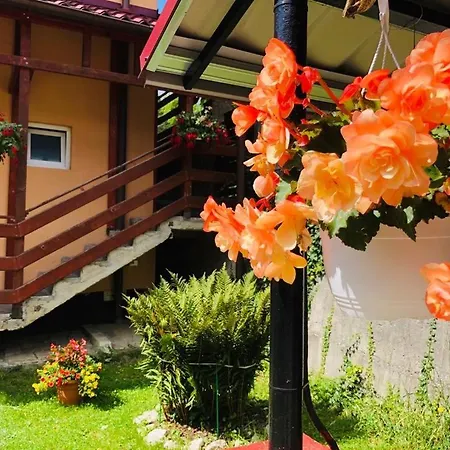 Casa De Vis